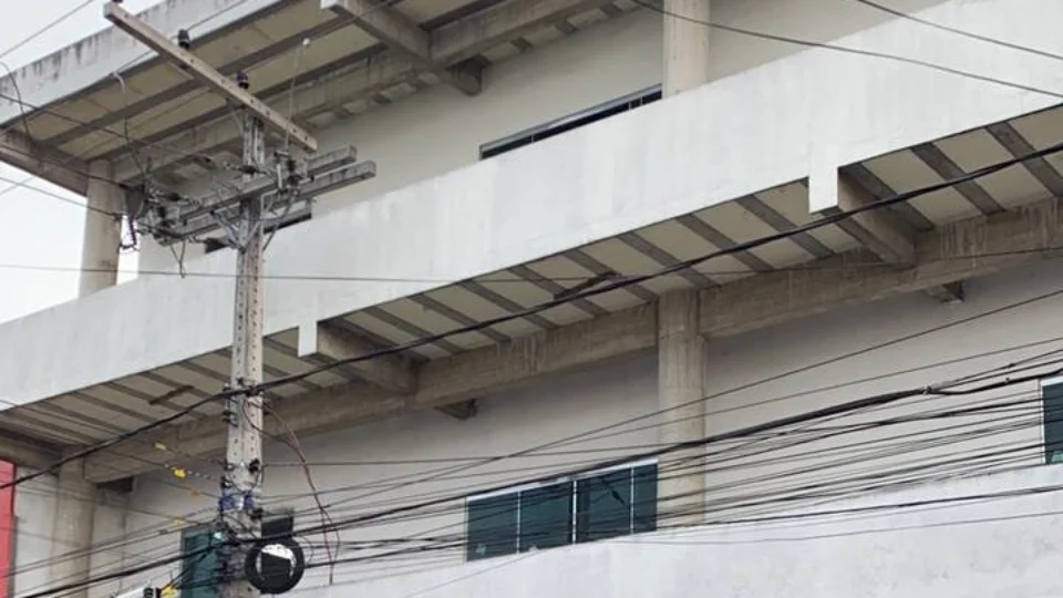 Cachorro é jogado do alto de prédio no Nova Esperança e população se revolta; Veja vídeos