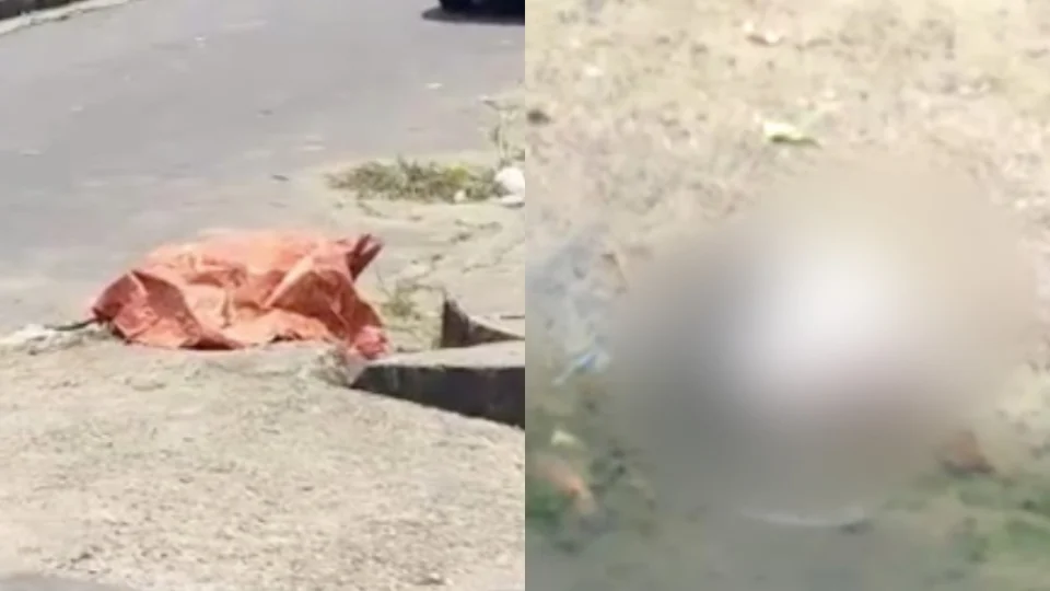Veja vídeo; Pedaços de corpo humano são espalhados na zona leste de Manaus