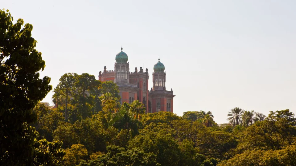 Fiocruz vai fabricar 60 milhões de testes de antígeno para covid-19; Saiba Mais