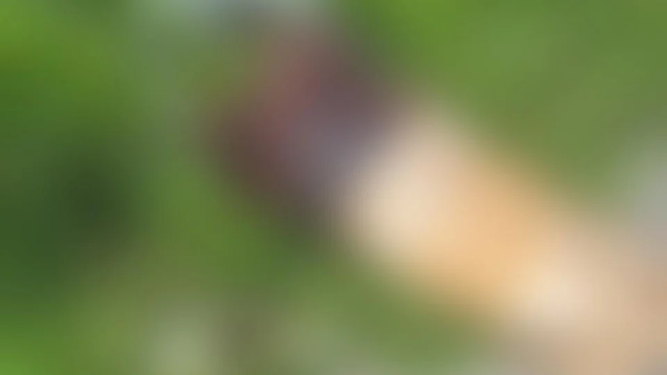 Corpo é encontrado com mãos amarradas e joelhos cortados no Igarapé do Passarinho, no Nova Cidade