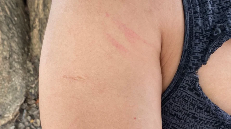 Casal inicia comemoração de aniversário em motel e termina em Delegacia