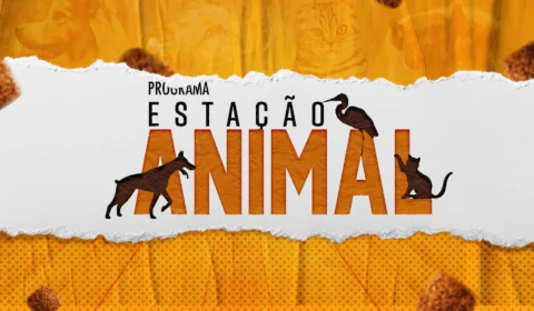 Confira os destaques do programa Estação Animal deste sábado (25)