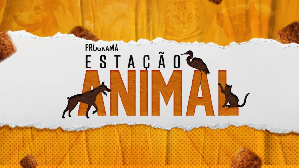 Confira os destaques do programa Estação Animal deste sábado (25)