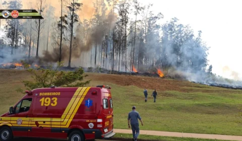 Veja vídeo; Sete pessoas morrem após avião cair em área de mata