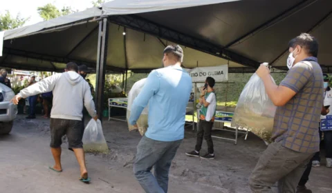 Produtores de Rio Preto da Eva recebem mais de 40 mil alevinos de tambaqui na Feira da Laranja