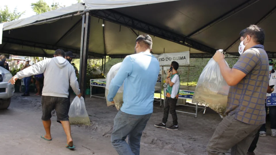 Produtores de Rio Preto da Eva recebem mais de 40 mil alevinos de tambaqui na Feira da Laranja