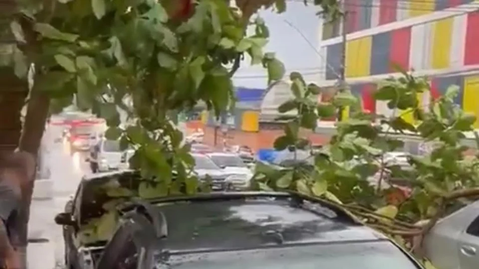 Árvore desaba sobre carro e deixa  trânsito lento no bairro Dom Pedro