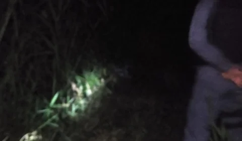 Jovem é executado com tiros na cabeça em matagal no Valparaíso; Veja vídeo!