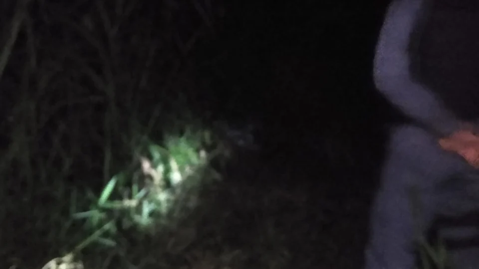 Jovem é executado com tiros na cabeça em matagal no Valparaíso; Veja vídeo!