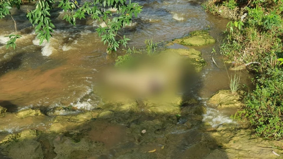 Corpo de homem é encontrado enrolado em tapete na Cachoeira Alta do Tarumã