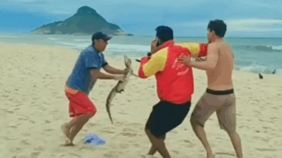 Vídeo; Durante briga jacaré é usado como ‘arma’ para ameaçar oponente