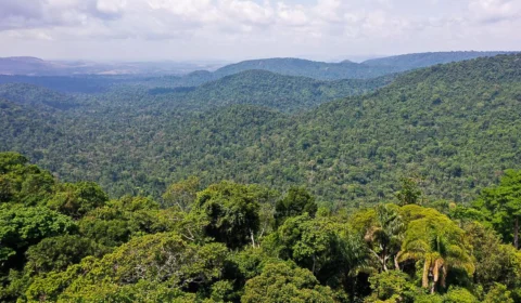 Amazonas participa da  26ª Conferência das Nações Unidas sobre Mudanças Climáticas