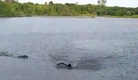 VEJA VÍDEO – Homem é atacado por jacaré enquanto nada em lago proibido para banhistas