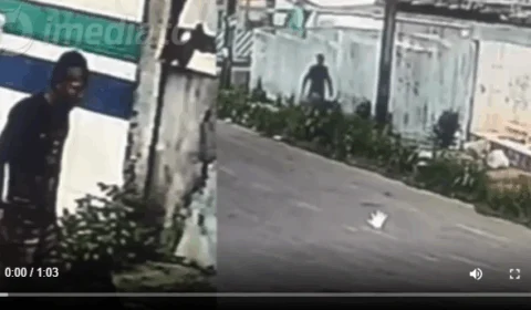 Vídeo de homem que esfaqueou e matou cachorro no São José