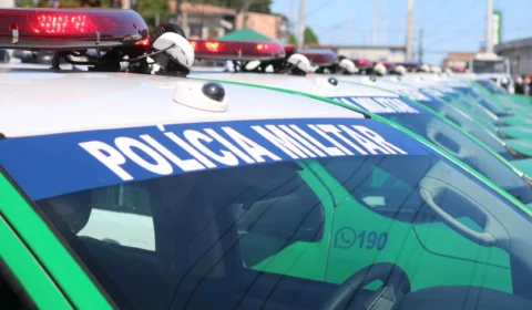 Mulher simula crime para ser presa