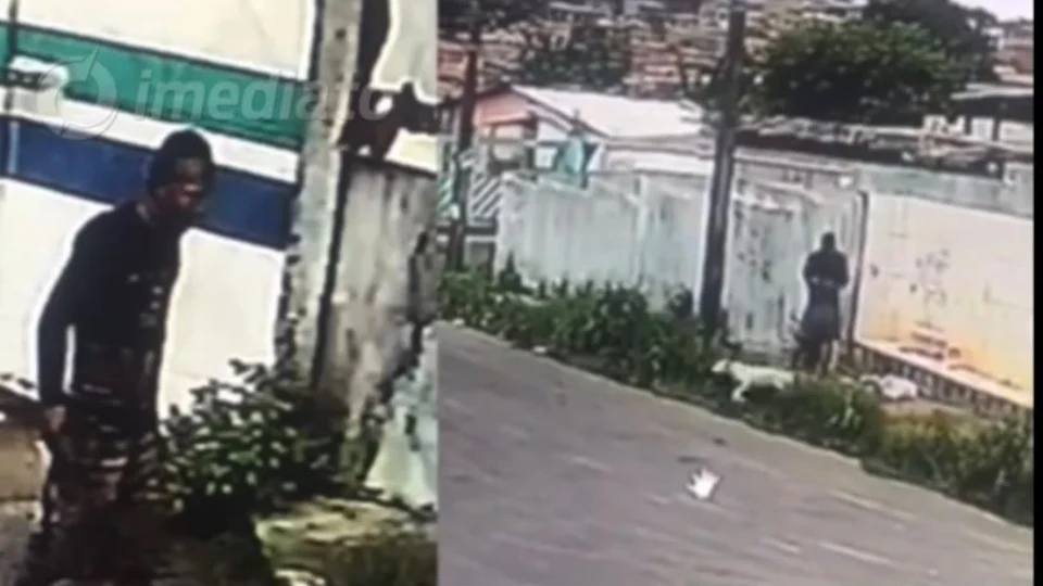 Homem que esfaqueou e matou cãozinho no São José é preso – VEJA VÍDEO!