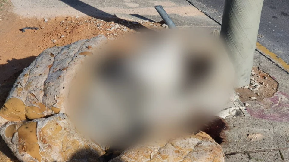 Corpo enrolado em colchão é encontrado em bairro de Manaus