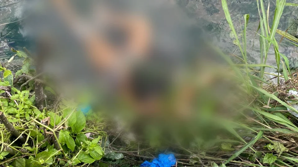 Mulher grávida é brutalmente assassinada em Rip-Pap na Zona Leste de Manaus; VÍDEO