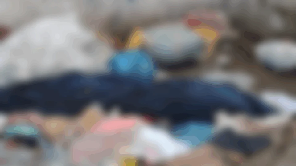 Corpo esquartejado é encontrado em lixeira  na zona Leste de Manaus; Veja vídeo