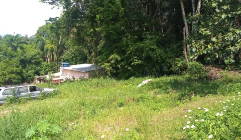 Corpo de homem é encontrado em área de mata na zona Norte de Manaus