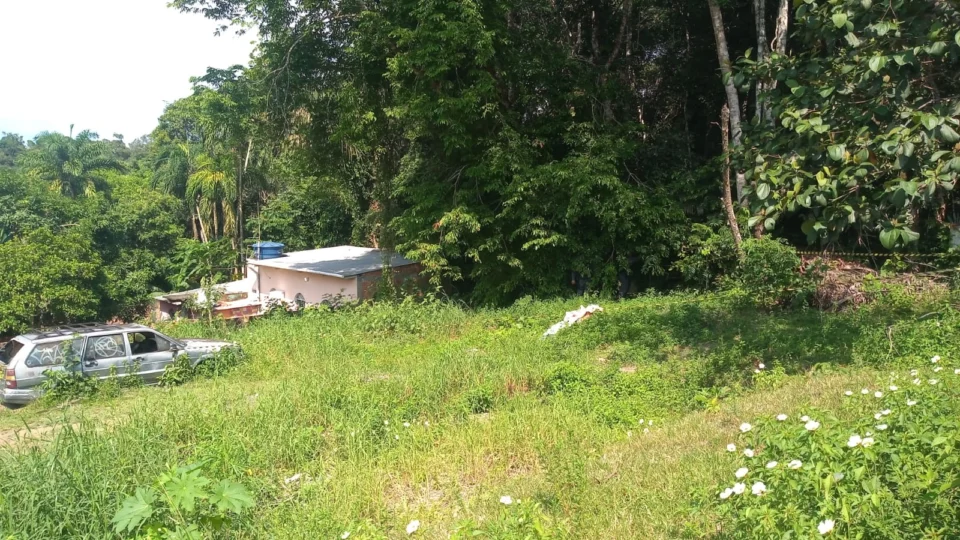 Corpo de homem é encontrado em área de mata na zona Norte de Manaus