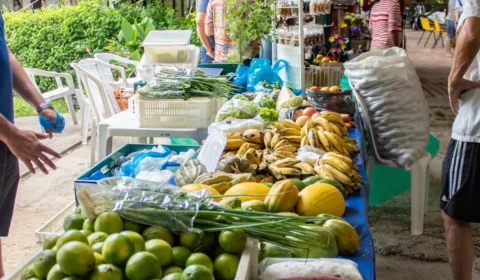 Feira da FAS  reúne 49 empreendedores com atrações artísticas para a população manauara