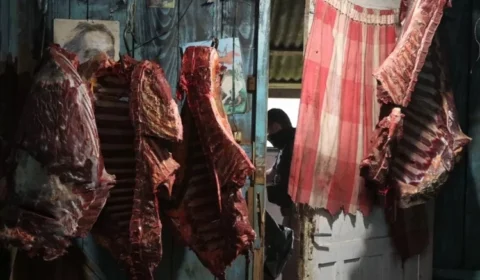 Grupo é preso por vender carne de cavalo clandestina para restaurantes no RS