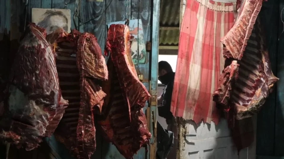 Grupo é preso por vender carne de cavalo clandestina para restaurantes no RS