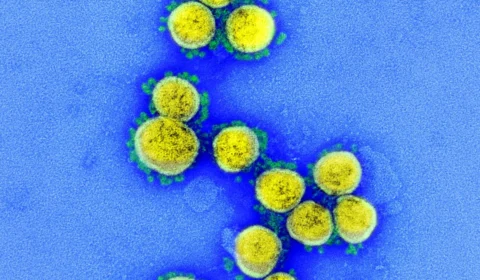 Brasil tem 32 casos confirmados da variante Ômicron