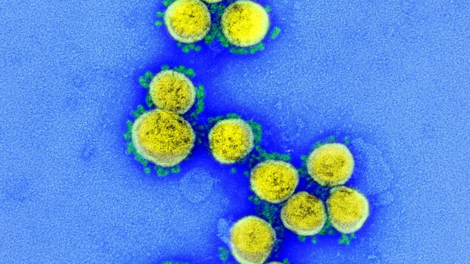 Brasil tem 32 casos confirmados da variante Ômicron