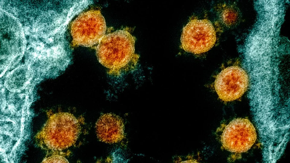 Rio Grande do Sul confirma caso de infecção pela variante Ômicron