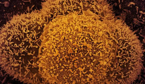 Covid-19 ofuscará comemorações de ano-novo no mundo