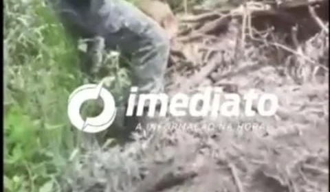 VEJA VÍDEO; Corpo de decapitado é encontrado pelo CIPCães enterrado em Iranduba