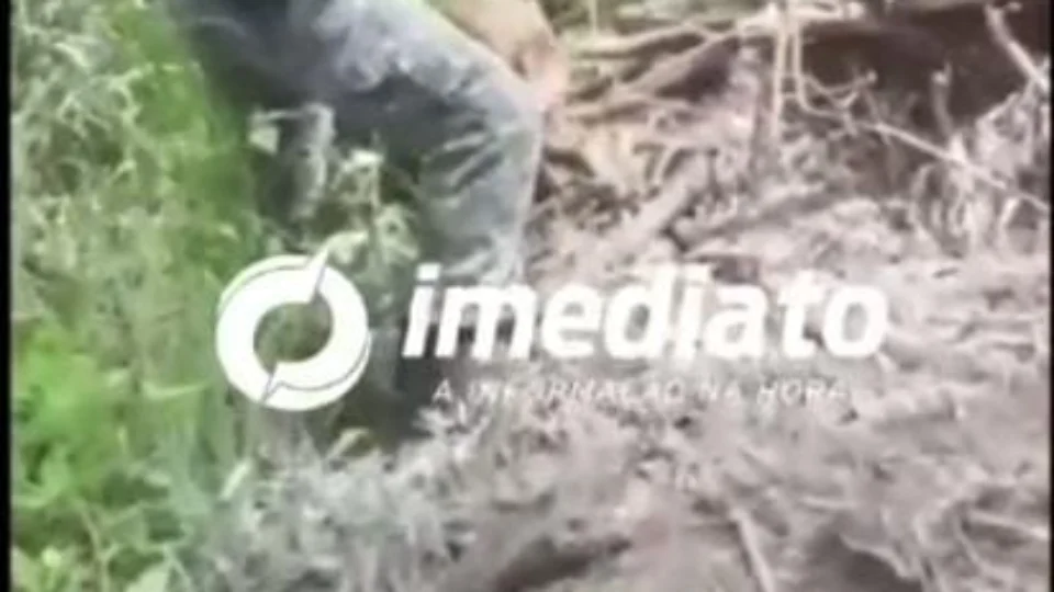 VEJA VÍDEO; Corpo de decapitado é encontrado pelo CIPCães enterrado em Iranduba