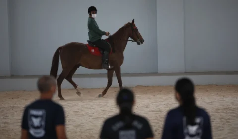 Em Manaus, Núcleo de Equoterapia da PMAM, ajudou mais de 70 crianças com deficiência
