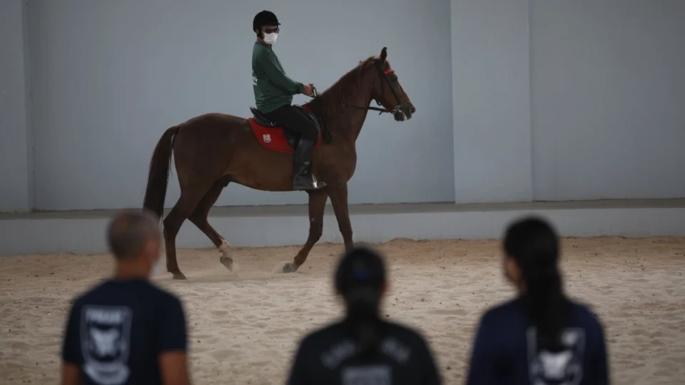 Em Manaus, Núcleo de Equoterapia da PMAM, ajudou mais de 70 crianças com deficiência