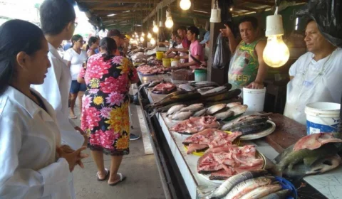 Projeto estimula estudantes a produzirem embalagens biodegradáveis com escama de peixes