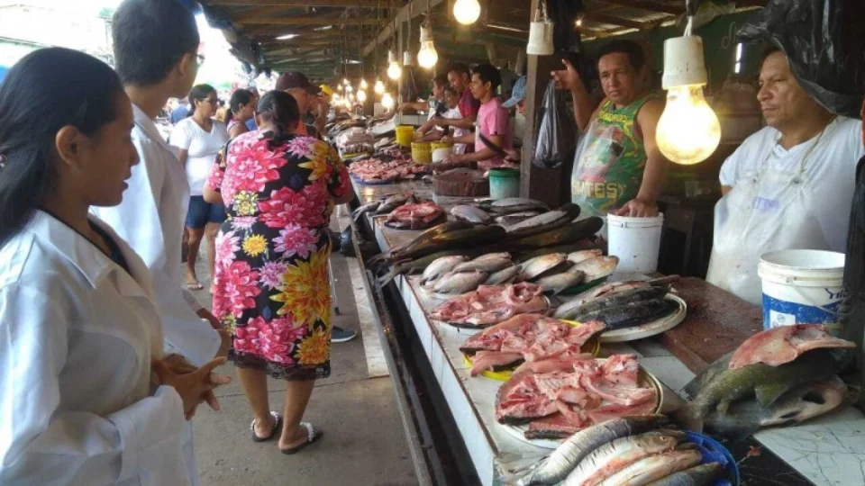 Projeto estimula estudantes a produzirem embalagens biodegradáveis com escama de peixes