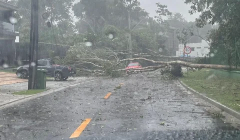 Temporal causa interrupção de energia e abastecimento de água tratada fica comprometido