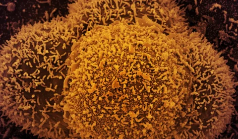 Ministério registra 619,6 mil mortes e 22,38 milhões de casos de covid