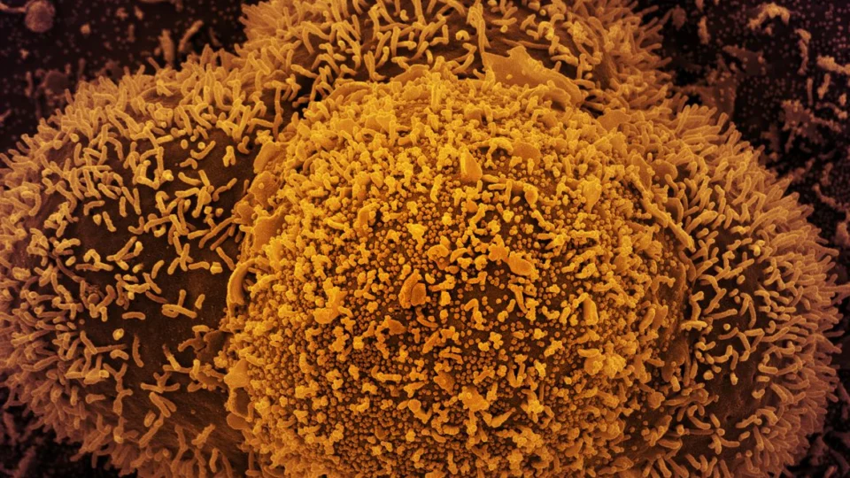 Ministério registra 619,6 mil mortes e 22,38 milhões de casos de covid