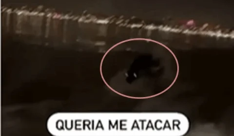 VEJA VÍDEO: Homem foge de criatura misteriosa em barco; “Queria me atacar”
