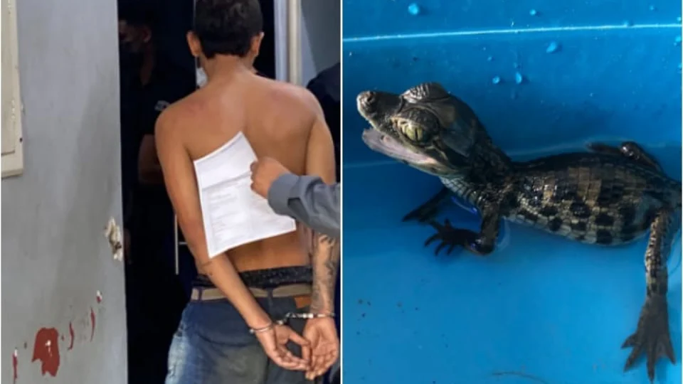 Homem é preso com drogas e “Jacarezinho sorridente”