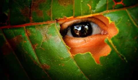Para o Dia do Fotógrafo Exposição virtual será lançada no próximo sábado, em Manaus