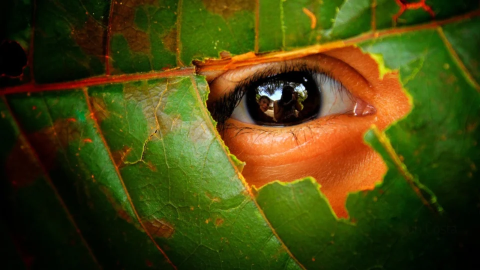 Para o Dia do Fotógrafo Exposição virtual será lançada no próximo sábado, em Manaus