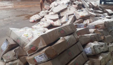 Cinco toneladas de frango transportadas sem refrigeração e sem nota fiscal são apreendidas em Humaitá