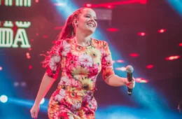 Avião com cantora Maiara se choca com pássaros e faz pouso de emergência