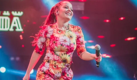 Avião com cantora Maiara se choca com pássaros e faz pouso de emergência