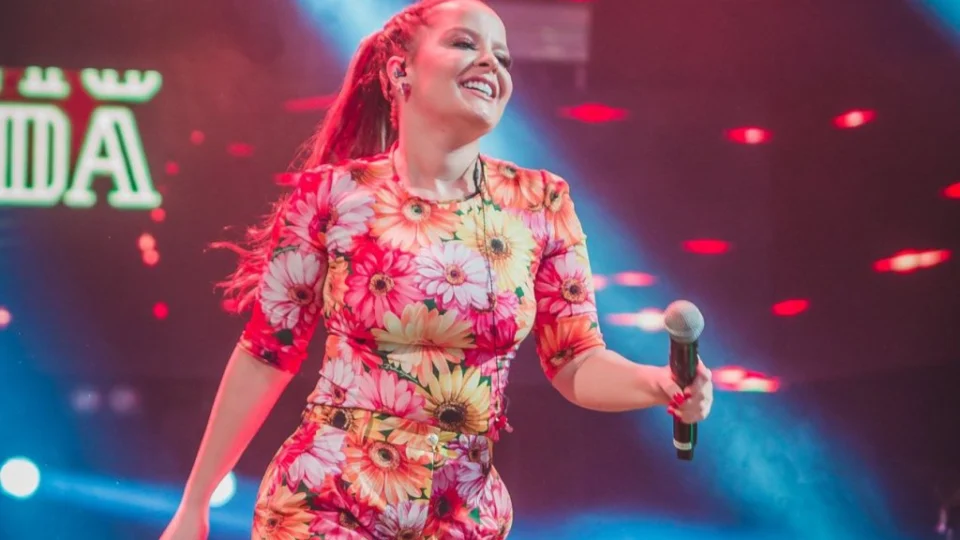 Avião com cantora Maiara se choca com pássaros e faz pouso de emergência