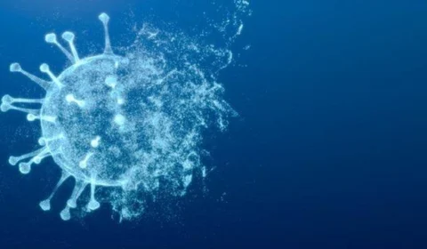 Primeira morte pela variante Ômicron pode ter sido confirmada no Brasil